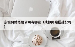 池州东城网站搭建公司有哪些（成都网站搭建公司）